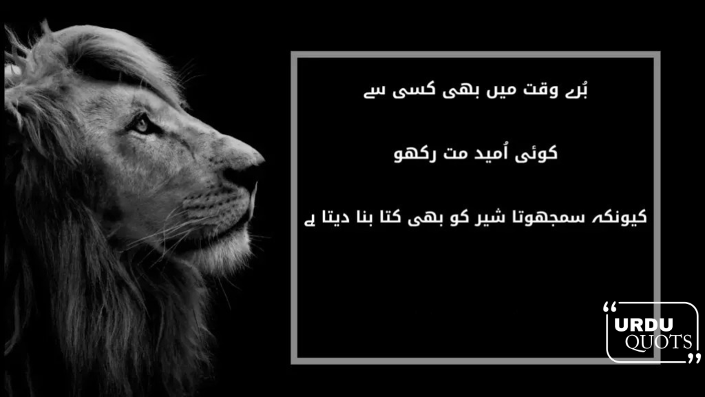 20 Powerful Urdu Motivational Quotes to Fuel Your Dreams | 2025.3