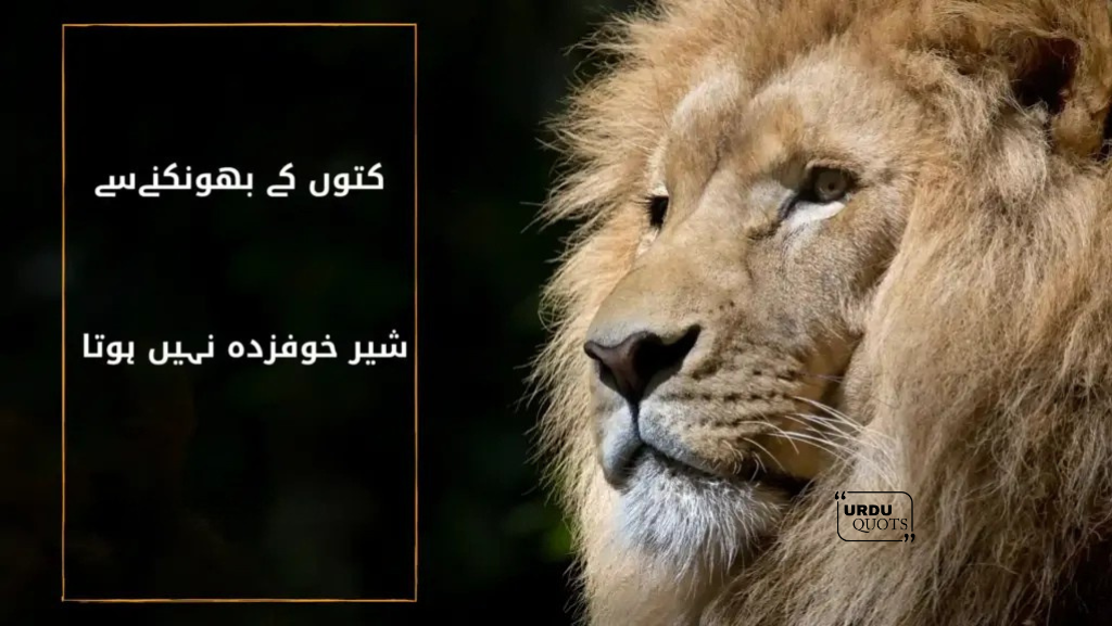 20 Inspiring Urdu Quotes to Brighten Your 2025.5